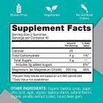 High Absorption Magnesium Gummies 200mg, 90 Ct