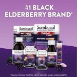 Sambucol Cold Relief Tablets with Elderberry & Zinc