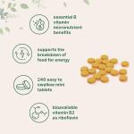 Riboflavin B2 Vitamin, 400mg, 240 Easy Tablets