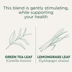 Traditional Medicinals Organic Green Tea with Lemongrass