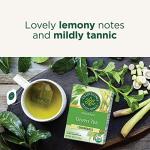 Traditional Medicinals Organic Green Tea with Lemongrass