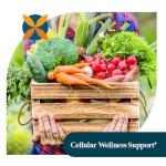 Organic Garlic 1000mg - Supports Immunity & Circulation