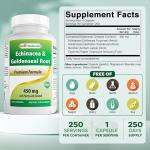 Best Naturals Echinacea Goldenseal 450 mg 250 Caps