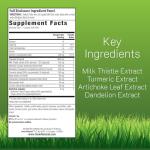 Irwin Naturals Milk Thistle Liver Detox 60 Softgels