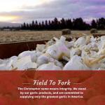 Christopher Ranch Pickled Garlic - Award Winning Flavor