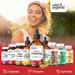 Wild & Organic Korean Panax Ginseng Extract Liquid - Red Ginseng Root Supplement for Overall Well-Being - Immune Support Drops - Vegan, Sugar & Alcohol-Free Tincture - 4 fl oz