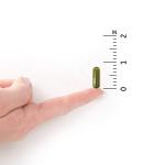 Garden of Life Raw D3 Vitamin with Probiotics