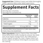 Garden of Life Kids Organic Vitamin D3 Gummies with 800 IU (100% Daily Value) for Strong Bones, Teeth, Brain & Immunity – Non-GMO, No Gluten, Vegetarian, Sugar Free, Orange Flavor, 60 Servings