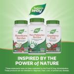 Saw Palmetto Berry Capsules - 180 ct