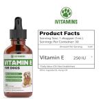 Vitamin E for Dogs | Vitamin E Dog | Vitamin E for Dog | Dog Vitamins E | Vitamin E Canine | Vitamin E Supplement for Dogs | Vitamin E Oil Dog | Dog Vitamins | Dog Immune Support | 1 fl oz
