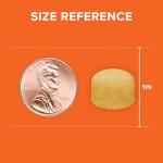 Qunol Turmeric and Ginger with Black Pepper Gummies, Turmeric Curcumin Supplement, Joint Health Support Gummy, 90ct Gummies