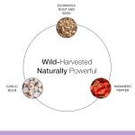 Dr. Schulze's Echinacea Plus for Immune Support