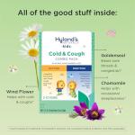 Hyland's Kids Cold and Cough Combo Pack