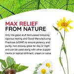 MediNatura T-Relief Extra Strength Oral Drops Arnica +12 Fast-Acting Natural Relieving Actives for Back Neck Joint Muscle Hand & Foot Aches Pains & Soreness - 1.69 oz