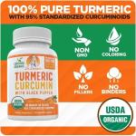 Organic Turmeric Curcumin with Black Pepper Extract 2000mg - High Absorption Ultra Potent Supplement - 95% Curcuminoids - Vegan, Non GMO - 120 Capsules