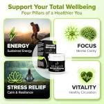 Auragin® Authentic Korean Red Ginseng – Made in Korea – 6 Year Roots – No Additives or Other Ingredients – 100% Red Panax Ginseng in Every Tablet