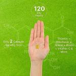 Bioactive Vitamin B Complex for Men & Women, 240 Veggie Capsules - Methylated B Complex & Esterified Vitamin C – High Potency & Easy Absorption – Immune, Energy & Metabolism Supplement – Non-GMO