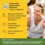 Nature Made High Absorption Turmeric Curcumin Supplement Capsules, Turmeric Supplement, Muscle and Joint Support, 30 Capsules, 30 Day Supply