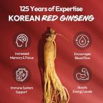 Korean Red Ginseng Extract Capsule Plus - All-in-One Vegan Supplements - Energy Boost & Immune Support, Caffeine Free & Non-GMO (600mg, 30 Capsules)