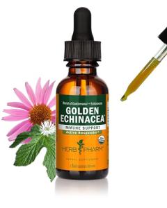 Herb Pharm Certified Organic Golden Echinacea Liquid Extract for Immune System Support - 1 Ounce (DGOLDEN01)
