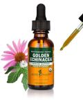 Herb Pharm Certified Organic Golden Echinacea Liquid Extract for Immune System Support - 1 Ounce (DGOLDEN01)