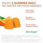 Qunol Zero Sugar Turmeric Gummies, Gummy with 500mg Turmeric Curcumin, Joint Support Supplement, Ultra High Absorption Tumeric Curcumin, Vegetarian, Gluten Free, 120 Count