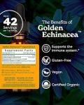 Herb Pharm Certified Organic Golden Echinacea Liquid Extract for Immune System Support - 1 Ounce (DGOLDEN01)