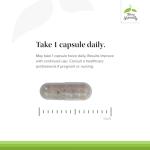 Terry Naturally HRG80 Red Ginseng Energy - Supplement to Support Healthy Energy & Focus - Herbal Supplement with Korean Red Ginseng Root Powder - Vegan Tablets to Aid Healthy Endurance - 30 Capsules