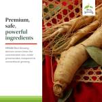 Terry Naturally HRG80 Red Ginseng Energy - Supplement to Support Healthy Energy & Focus - Herbal Supplement with Korean Red Ginseng Root Powder - Vegan Tablets to Aid Healthy Endurance - 30 Capsules