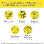 Bach RESCUE Remedy Dropper 20mL - Pack of 2 - Natural Stress Relief, Homeopathic Flower Essence, Vegan, Gluten & Sugar-Free, Non-Habit Forming (Non-Alcohol Formula)