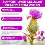 QYQIZWIA Milk Thistle Silymarin Marianum Liquid Drop for Liver & Kidney Cleansing Support, Potent Antioxidant, Herbal-Based Formula, Sugar-Free, Alcohol-Free, Non-GMO - 2 Fl.Oz/60 ML