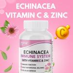 Arymar Echinacea Complex with Vitamin C & Zinc: 3-in-1 Seasonal Formula, Natural Antioxidant Rich Herbal Capsules, 60 Count