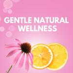 Arymar Echinacea Complex with Vitamin C & Zinc: 3-in-1 Seasonal Formula, Natural Antioxidant Rich Herbal Capsules, 60 Count