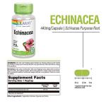 SOLARAY Echinacea Purpurea Root 440 mg | Healthy Immune & Respiratory Function Support | 100 VegCaps