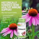 SOLARAY Echinacea Purpurea Root 440 mg | Healthy Immune & Respiratory Function Support | 100 VegCaps