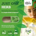 Wild & Organic Saw Palmetto Capsules 500 mg - Urinary Tract Support for Men & Women - Pure Saw Palmetto Supplement - Serenoa Repens Berries - 120 Days of Supply - Vegan, Non-GMO - 120 Count