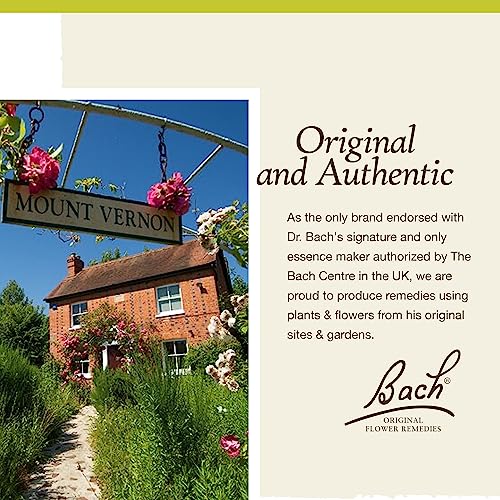Flower Essence Mustard 20 ML by Bach Flower Essences