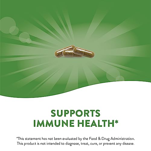 Nature's Way Echinacea Purpurea Capsules, Immune Support
