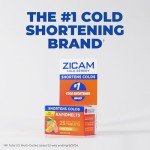 Zicam Zinc Cold Remedy RapidMelts Cherry 25ct