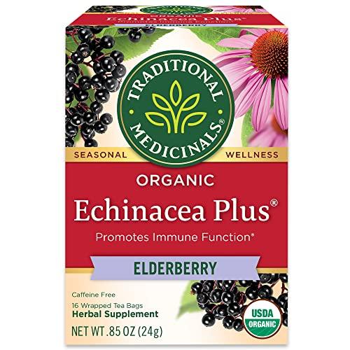 Echinacea and Elderberry Immune Support