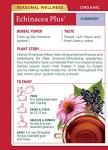 Organic Echinacea Plus Elderberry Tea Bags - 16 Count