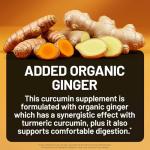 NatureWise Turmeric Curcumin 2250mg with BioPerine