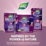 Nature's Way Cold & Flu Relief FastActives, Berry