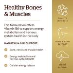 Solgar Magnesium with Vitamin B6, 250 Tablets - Promote Healthy Bone Mineralization, Support Nerve & Muscle Function, Energy Metabolism - Non-GMO, Vegan, Gluten Free, Dairy Free, Kosher - 83 Servings