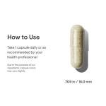 THORNE - Iron Bisglycinate - 25 mg Iron Supplement for Enhanced Absorption Without Gastrointestinal Side Effects* - NSF Certified for Sport - Gluten-Free - 60 Capsules