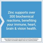 Life Extension Zinc Caps, zinc 50 mg, zinc citrate, Support the body's immune defenses, ultra-absorbable, vegetarian, non-GMO, gluten-free, 90 vegetarian capsules, 90 Count (Pack of 1)
