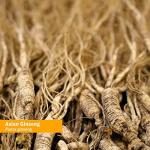 Herb Pharm Asian (Panax) Ginseng Liquid Extract for Energy and Stamina Support - 1 Ounce