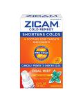 Zicam Cold Remedy Zinc Arctic Mint Oral Mist, 1 Ounce