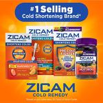 Zicam Cold Remedy Zinc Arctic Mint Oral Mist, 1 Ounce