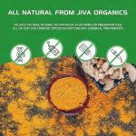 Organic Turmeric Powder 1 Pound Jar by Jiva Organics - 100% Raw with Curcumin - Lab Tested & Reports Available - Raw from India